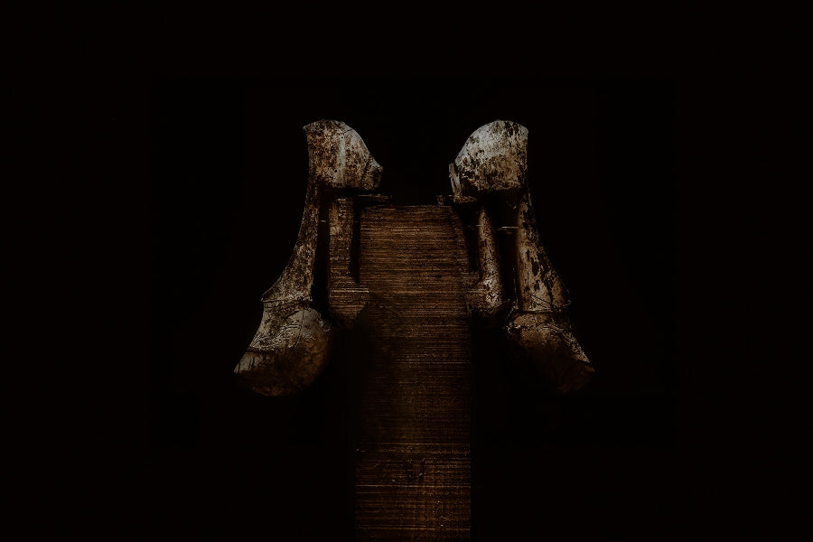 TRACES OF A UNION P#10