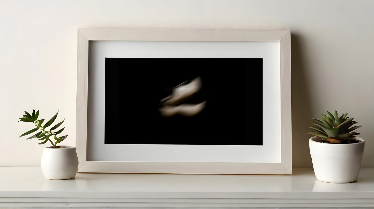 SERIE F _1_01