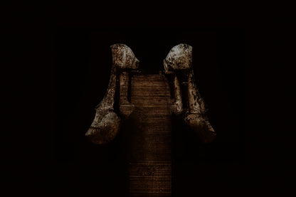 TRACES OF A UNION P#010