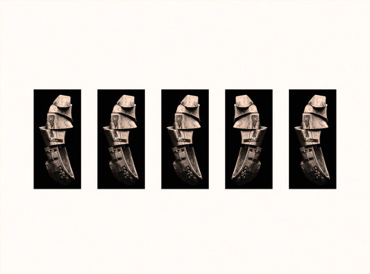 ECHOES OF WOOD AND TIME #01
