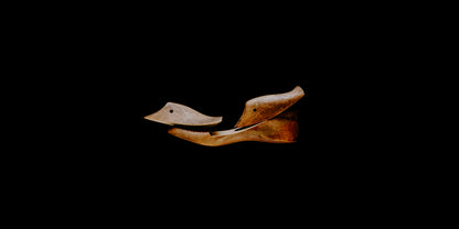 SOLITARY ECHOES P#11