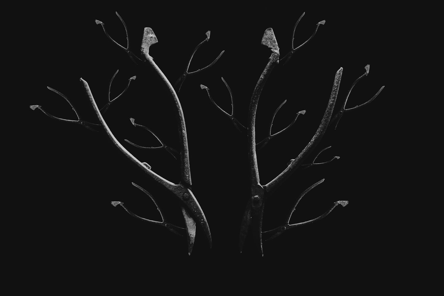 THE SHAPE OF PRESENCE