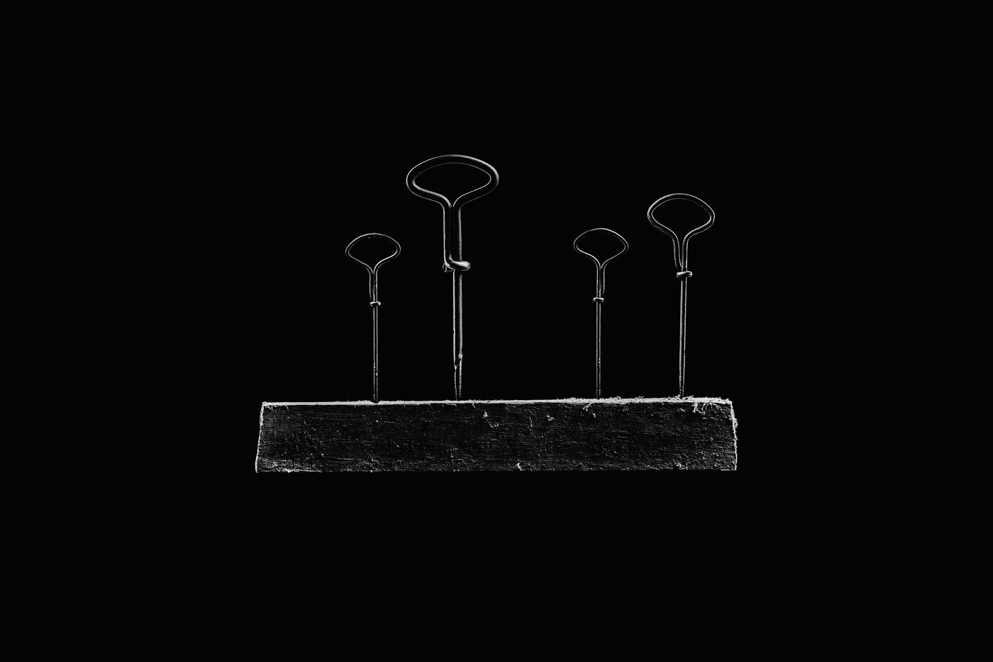 ANCESTRAL MINIMALISM