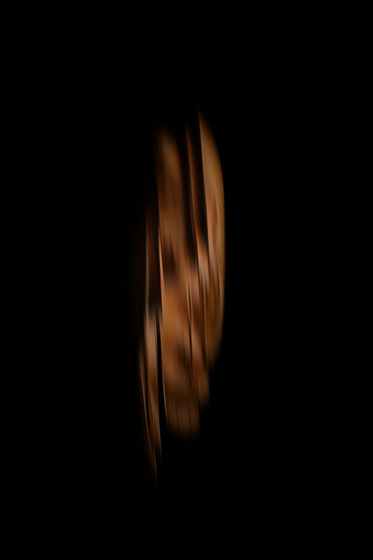 SERIE F _1_13