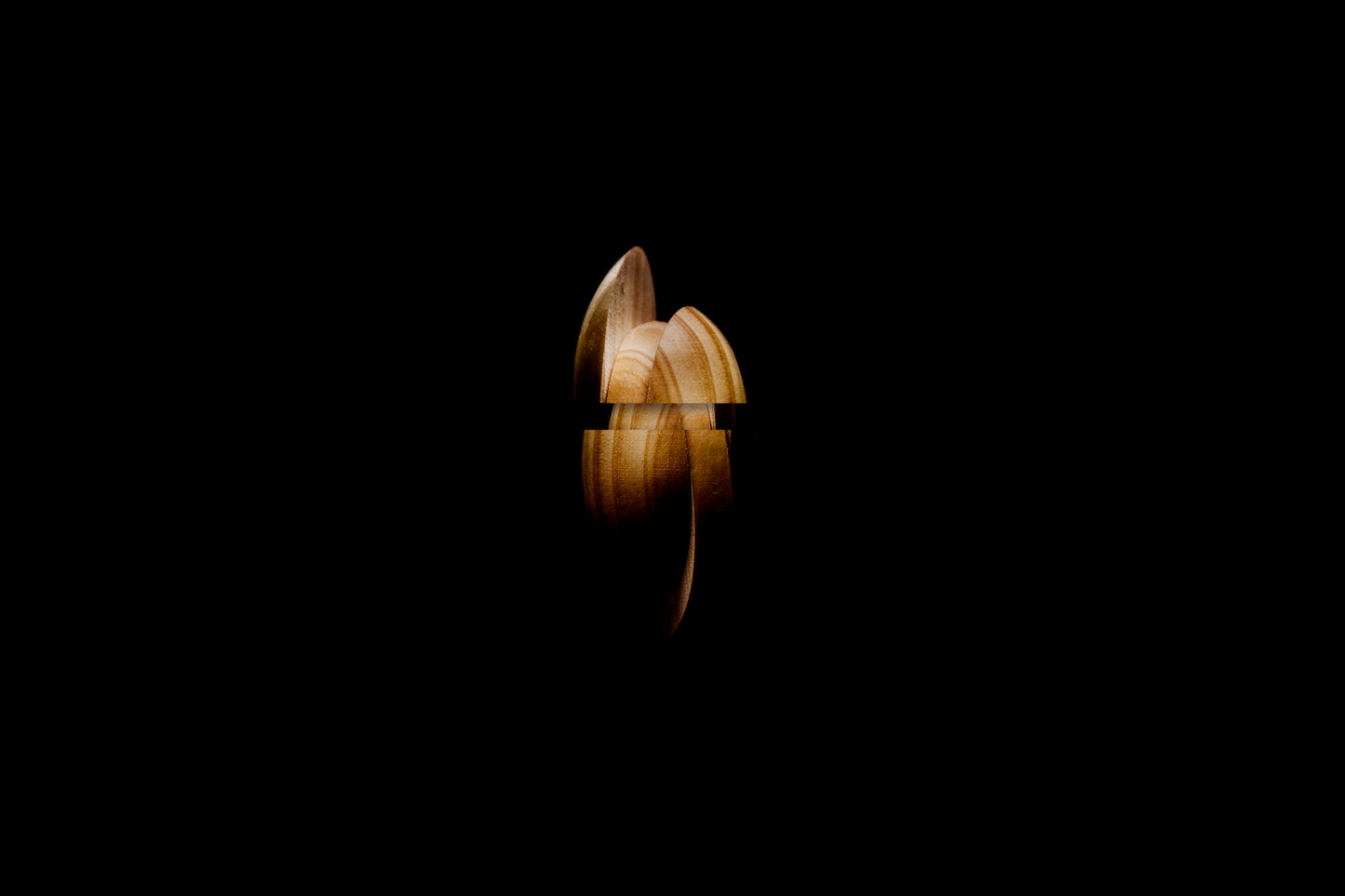 GENESIS 02