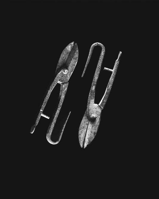 TRACES OF A UNION P#07